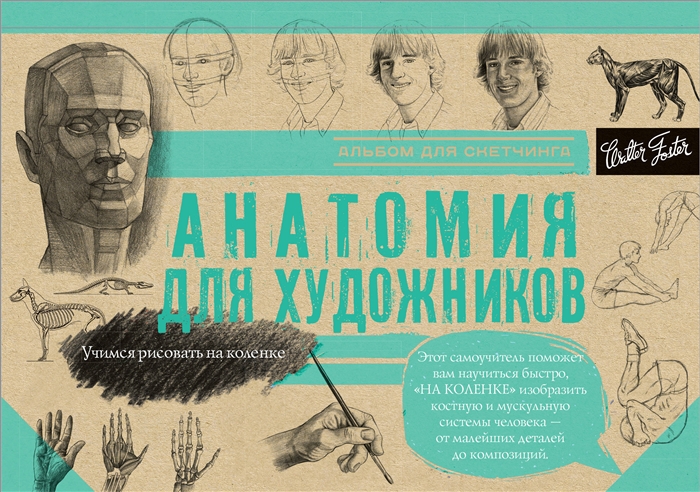 

Анатомия для художников