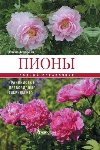 

Пионы Полный справочник Травянистые древовидные гибриды ИТО