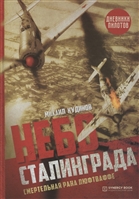 Небо Сталинграда. Смертельная рана люфтваффе Небо Сталинграда. Смертельная рана люфтваффе