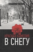 Красная камелия в снегу Красная камелия в снегу