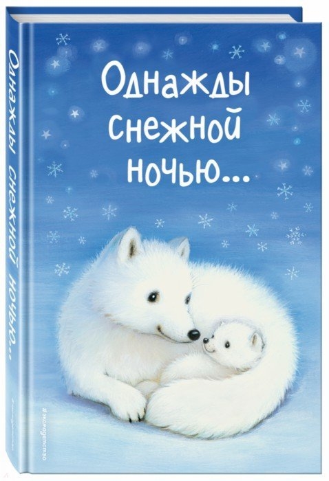 

Однажды снежной ночью