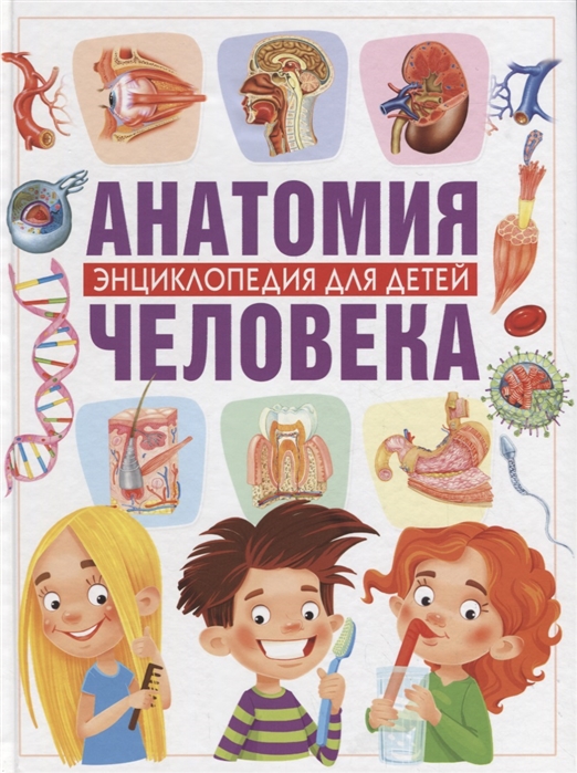 Гуиди В. Анатомия человека Энциклопедия для детей