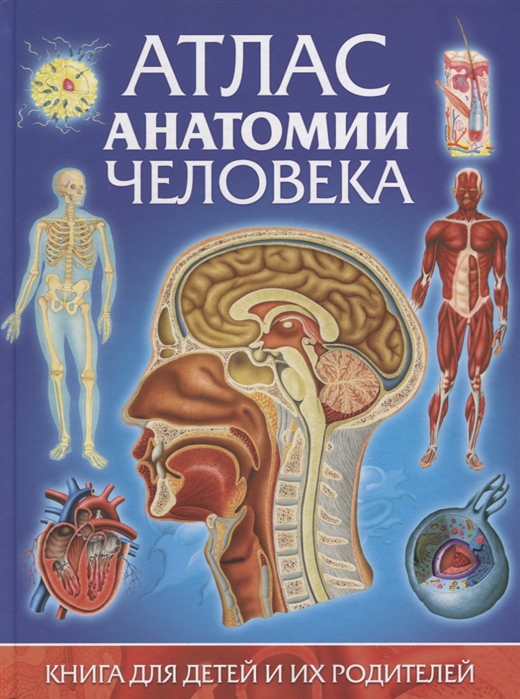 Гуиди В. Атлас анатомии человека Книга для детей и их родителей