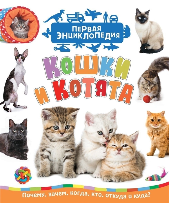 

Кошки и котята