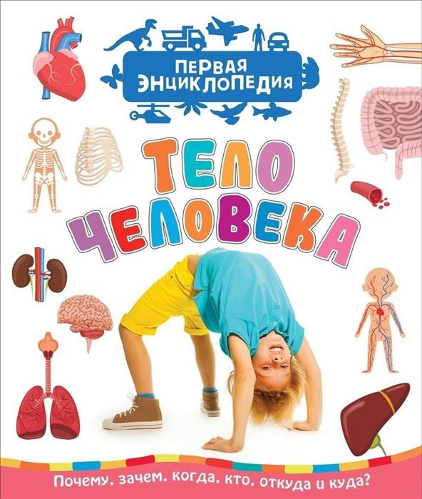 

Тело человека