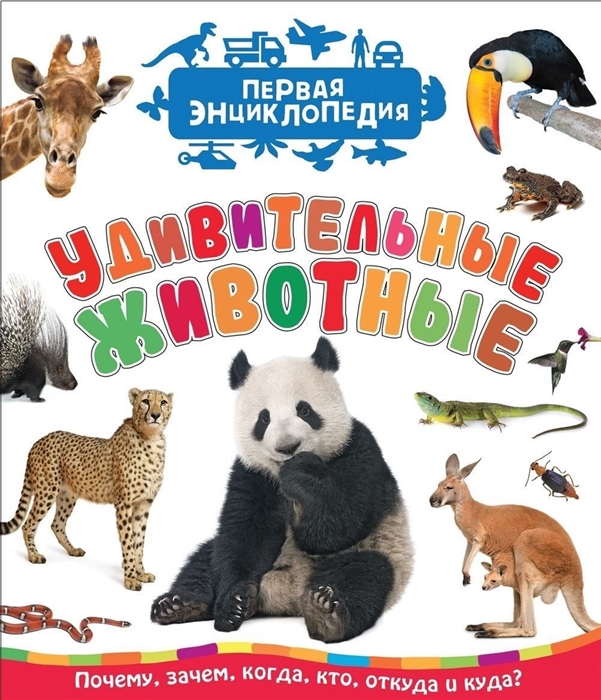 

Удивительные животные