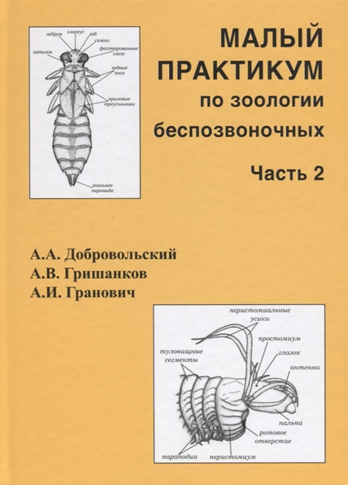 

Малый практикум по зоологии беспозвоночных Часть 2