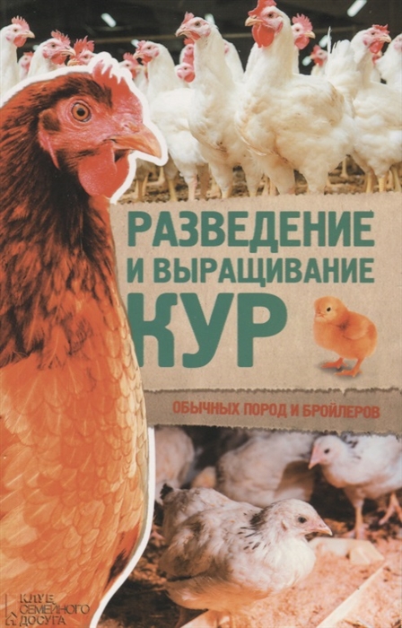 

Разведение и выращивание кур обычных пород и бройлеров