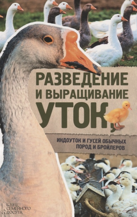 

Разведение и выращивание уток индоуток и гусей обычных пород и бройлеров