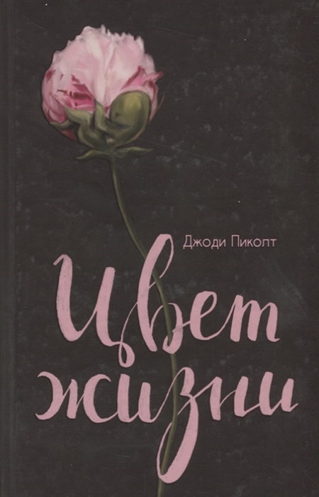

Цвет жизни Роман