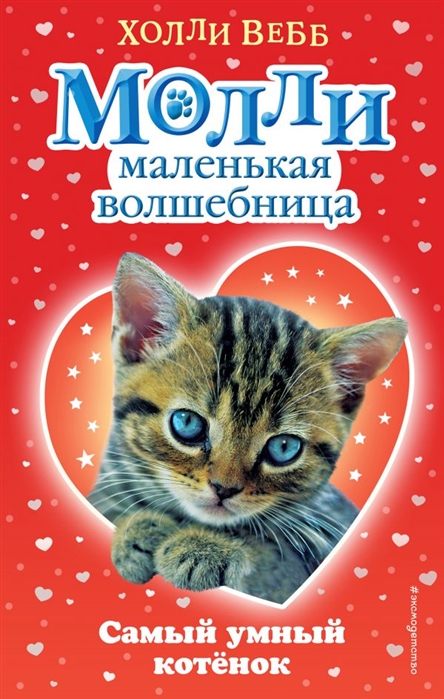

Самый умный котенок