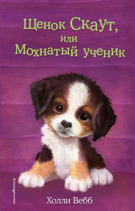 

Щенок Скаут или Мохнатый ученик