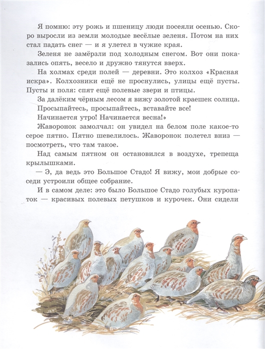 Содержание для читательского дневника оранжевое горлышко. Бианки в. "оранжевое горлышко". Птица с оранжевым горлышком.