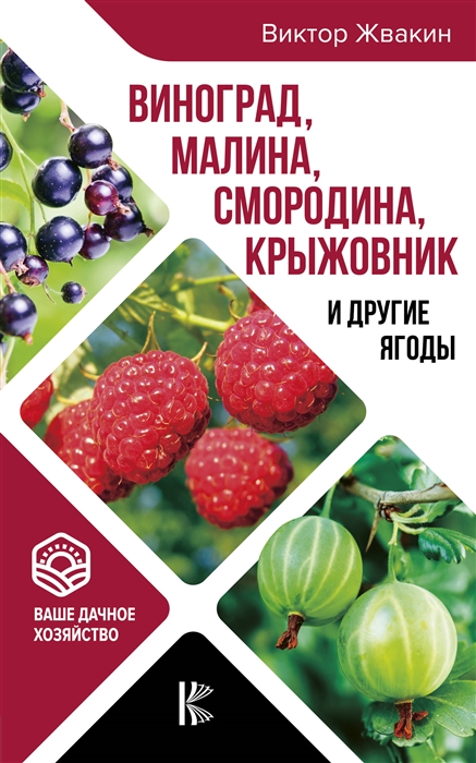 

Виноград малина смородина крыжовник и другие ягоды