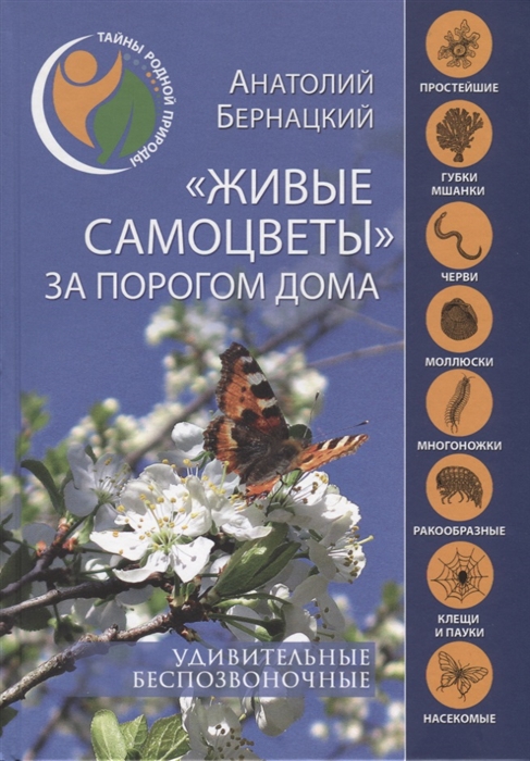 

Живые самоцветы за порогом дома Удивительные беспозвоночные