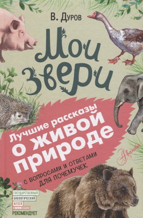 

Мои звери