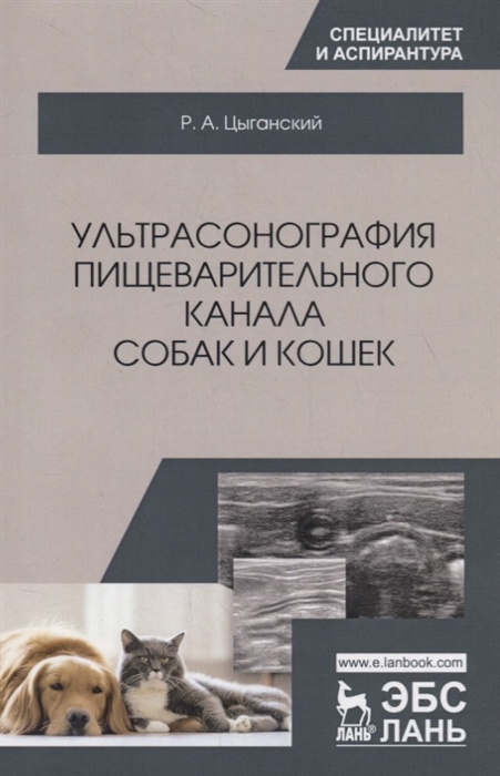 

Ультрасонография пищеварительного канала собак и кошек