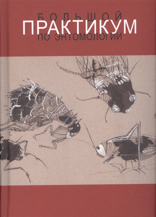 Беляева Н., Бенедиктов А., Галинская Т. - Большой практикум по энтомологии Учебное пособие