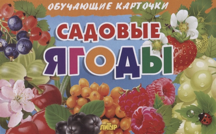 

Садовые ягоды Обучающие карточки