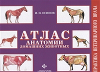 Атлас анатомии домашних животных Атлас анатомии домашних животных