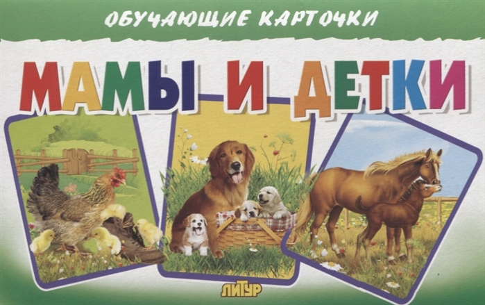 

Обучающие карточки Мамы и детки