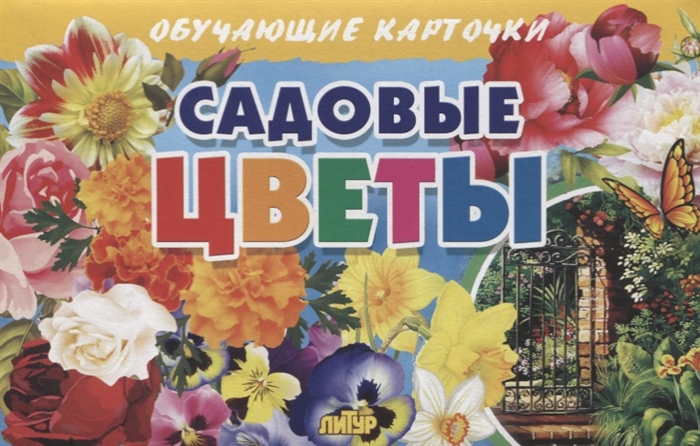 

Обучающие карточки Садовые цветы