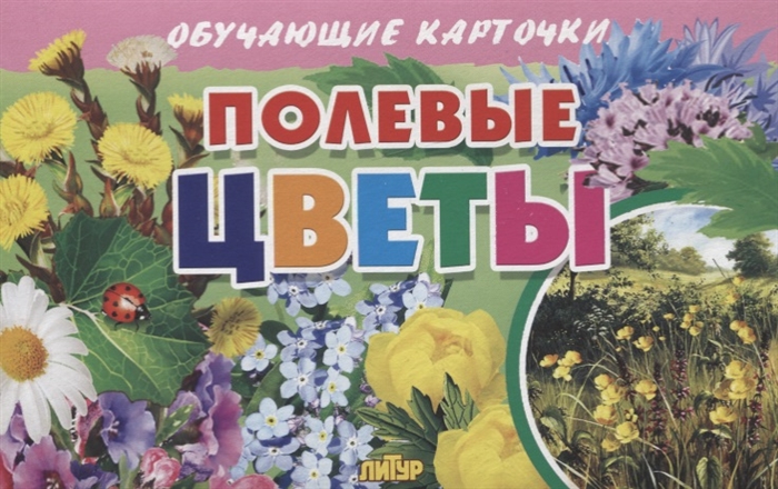 

Обучающие карточки Полевые цветы