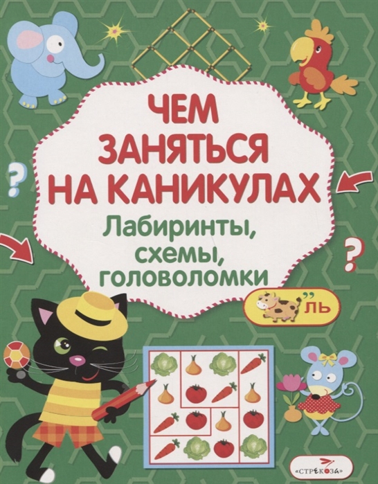 Вовикова о., Куранова Е., Гончарова Д. (худ.) - Лабиринты схемы головоломки Выпуск 6