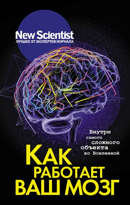 

Как работает ваш мозг