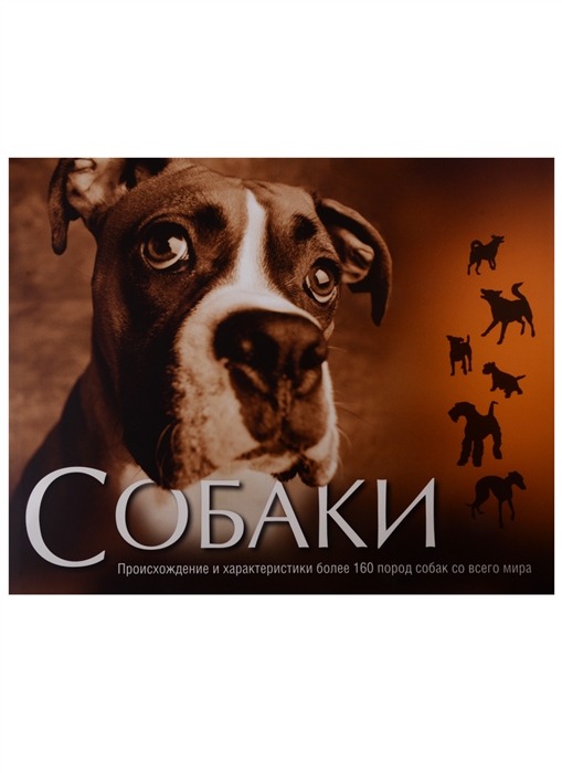 

Собаки