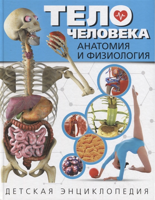 

Тело человека Анатомия и физиология Детская энциклопедия