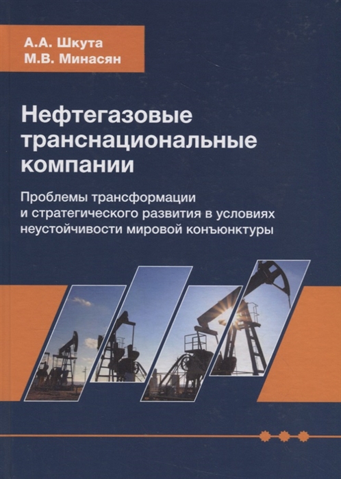 

Нефтегазовые транснациональные компании Проблемы трансформации и стратегического развития в условиях неустойчивости мировой конъюнктуры