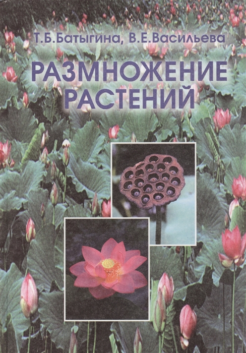 

Размножение растений Учебник