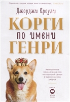 Корги по имени Генри Корги по имени Генри