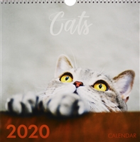 Календарь настенный на 2020 год. Домашние любимцы. Прятки Календарь настенный на 2020 год. Домашние любимцы. Прятки