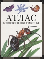 Атлас. Беспозвоночные животные Атлас. Беспозвоночные животные