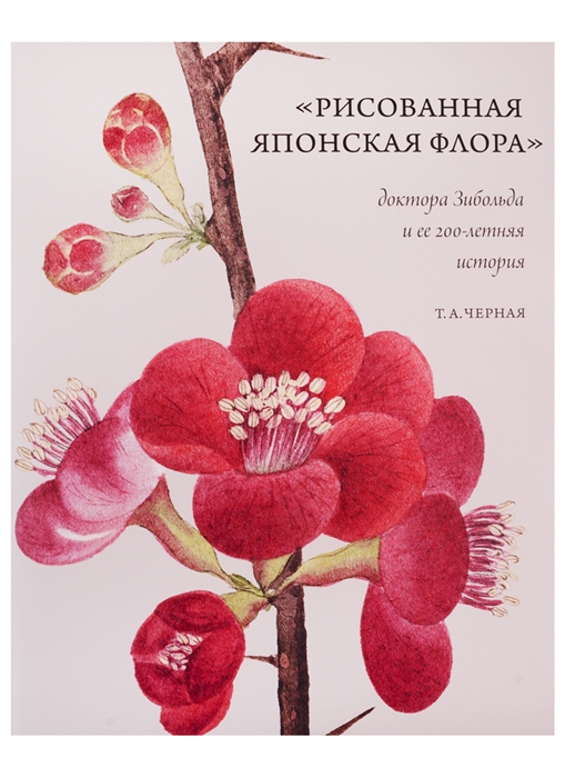 Черная Т. - Рисованная Японская Флора доктора Зибольда и ее 200-летняя история