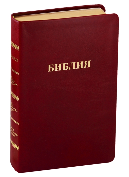 

Библия Книги Священного Писания Ветхого и Нового Завета Канонические В русском переводе с параллельными местами Синодальный перевод 1876 года