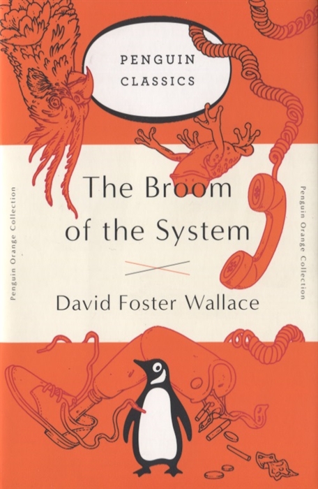 

The Broom of the System