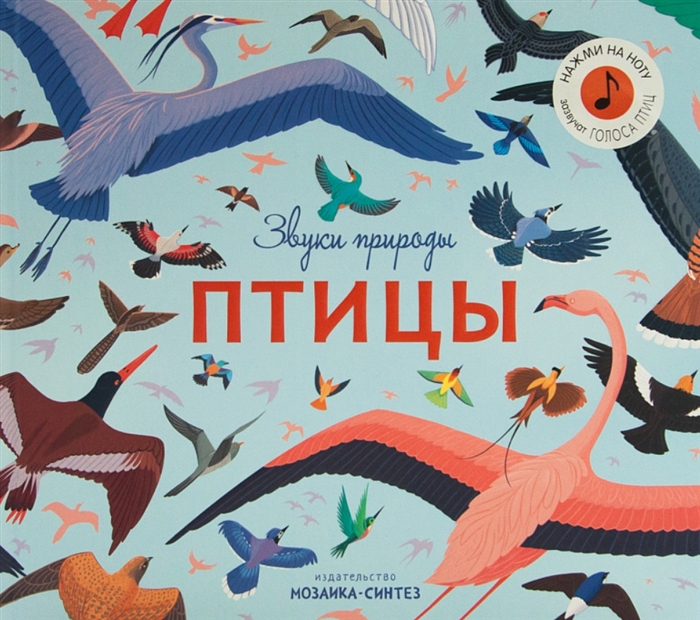 

Звуки природы Птицы