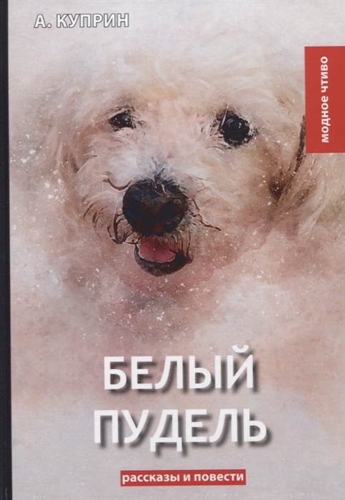 

Белый пудель