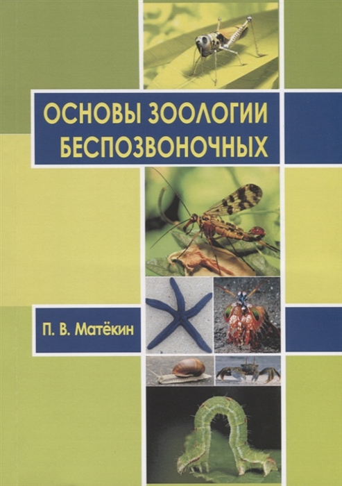 

Основы зоологии беспозвоночных Учебное пособие