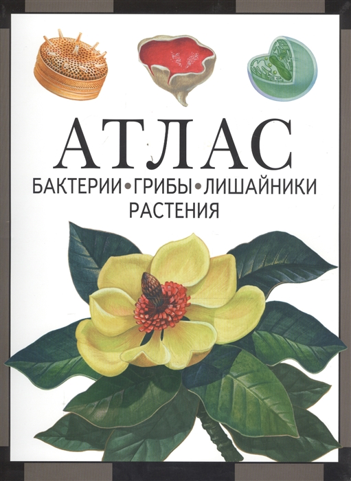

Атлас Бактерии грибы лишайники растения