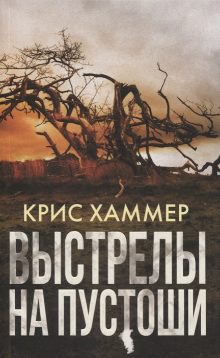 

Выстрелы на пустоши