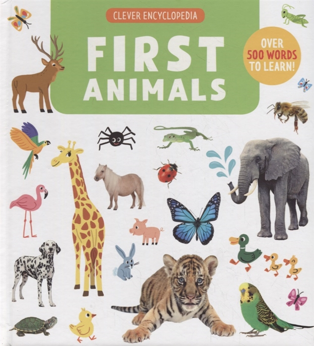 

First Animals Clever Encyclopedia Over 500 Words To Learn