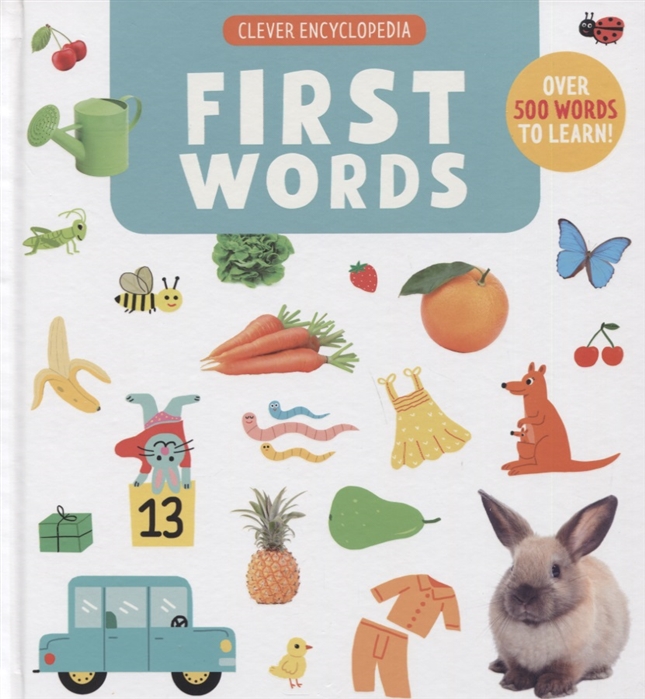 First Words. Clever Encyclopedia