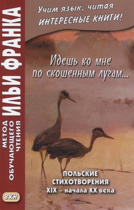 

Идешь ко мне по скошенным лугам Польские стихотворения XIX начала XX века