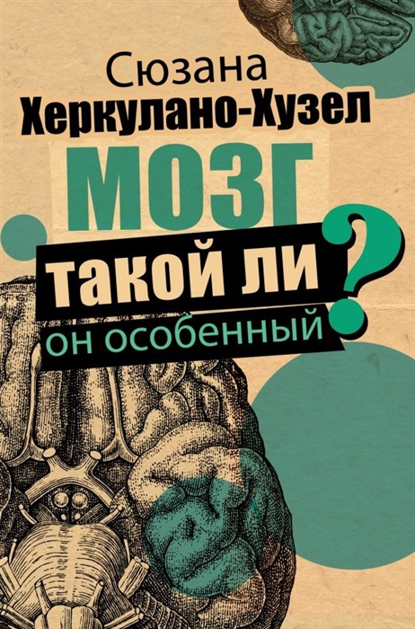 

Мозг Такой ли он особенный