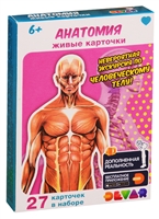 Живые карточки. Анатомия Живые карточки. Анатомия
