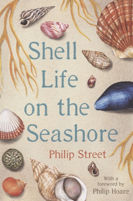 

Shell Life on the Seashore